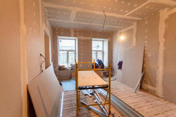 Best Fire-Damaged Drywall Repair  in Shelbina, MO