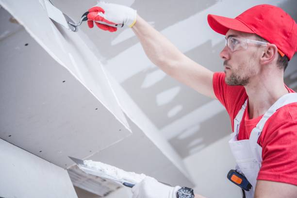 Best Trim and Molding Painting  in Shelbina, MO